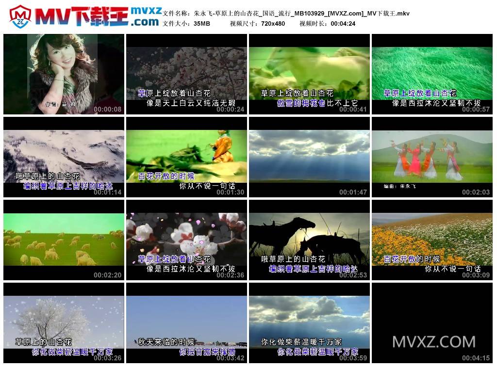 朱永飞-草原上的山杏花_国语_流行_MB103929